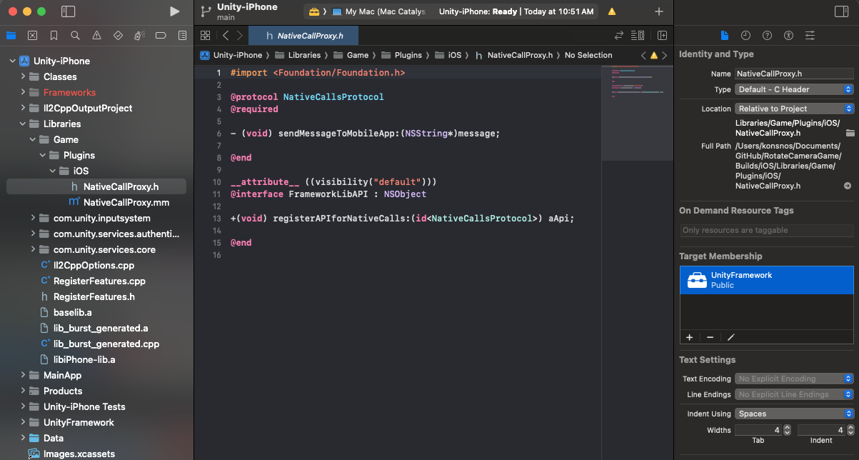 XCode NativeCallProxy